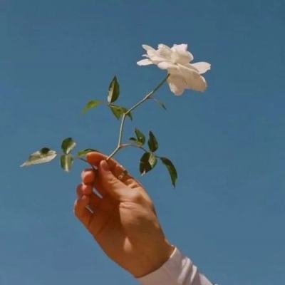 七彩鱼手游下载